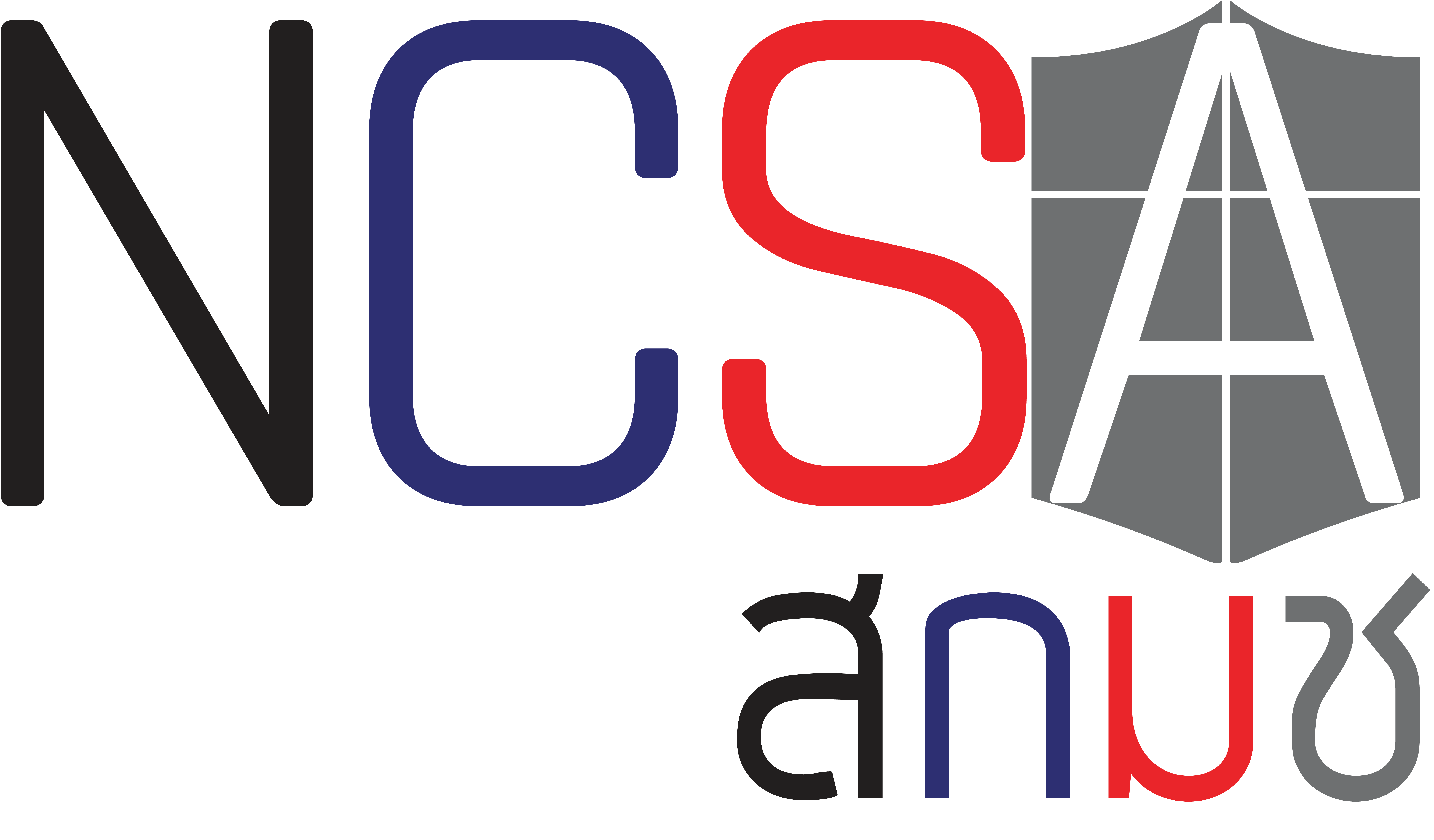 NCSA Logo